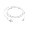 Câble iPhone Lightning / USB-A Original APPLE - 1m (sans boite)